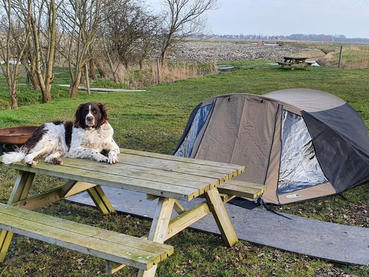 Basic 2P Tent Sotterum Hotel Cornwerd Exterior photo