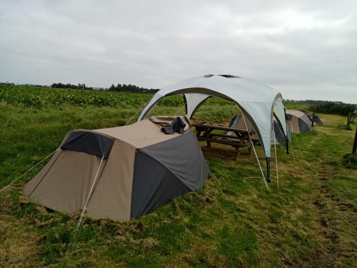 Basic 2P Tent Sotterum Hotel Cornwerd Exterior photo